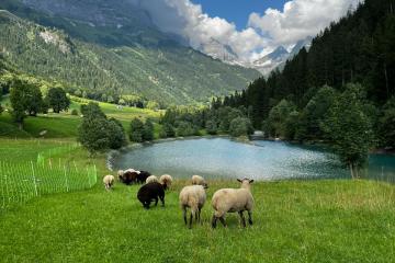 Mountains in Lugano