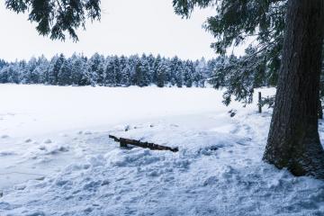 Étang de la Gruère