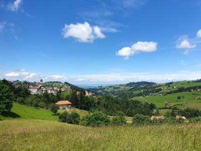 How to Eat Well in Switzerland on a Budget