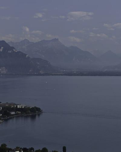 Lake Geneva And Montreux Riviera (225901629)
