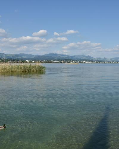 Ansicht auf Rapperswil-Jona über den Obersee vom Fischerhafen in Hurden 2015-05-27 16-56-57