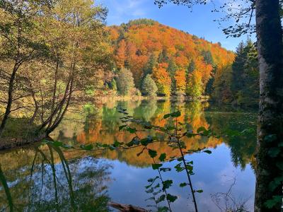 Lugano’s Autumn Chestnut Festivals