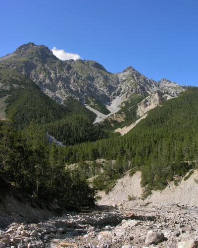 Swiss National Park 010