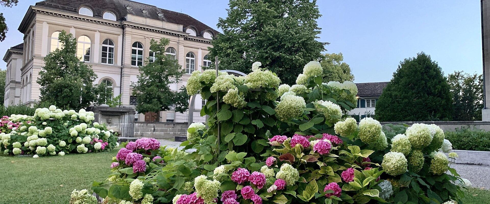 Studying in Switzerland