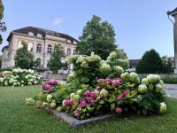 Studying in Switzerland