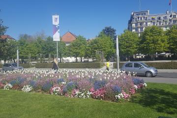Boat Tours in Lugano
